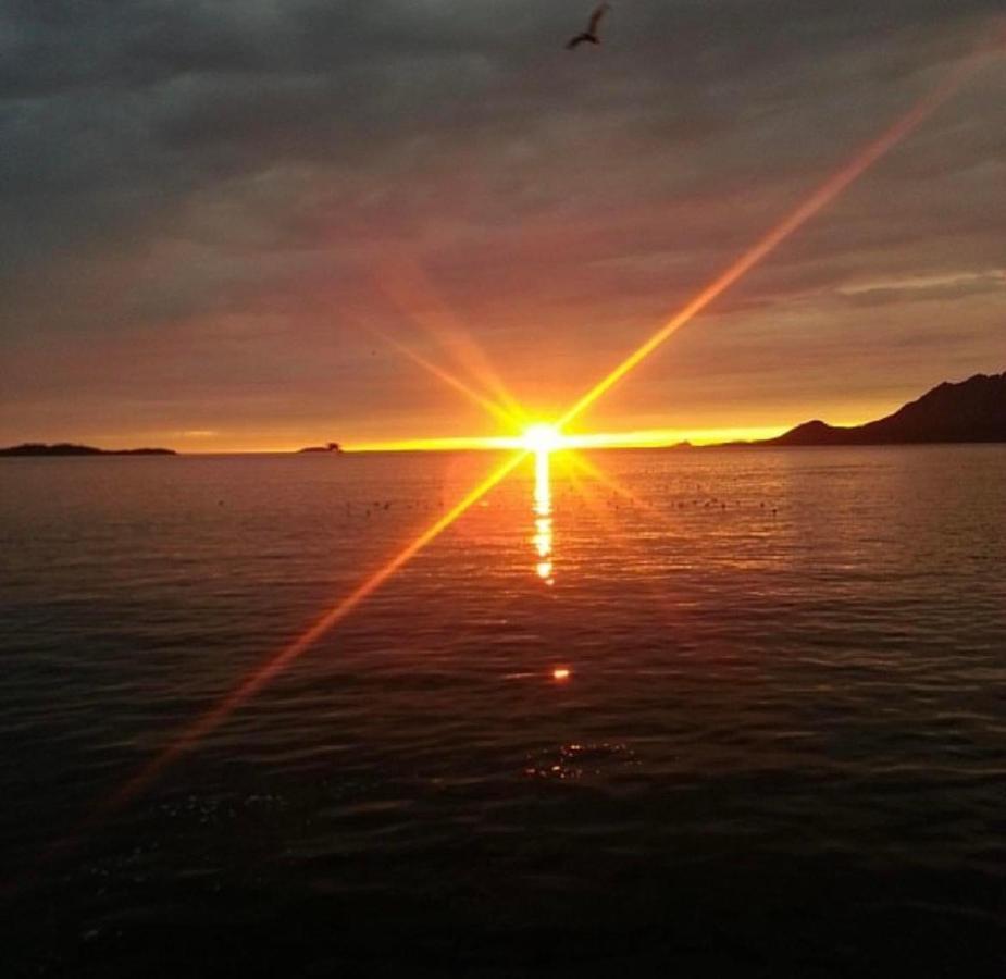 Senja Living Aparthotel Stonglandseidet ภายนอก รูปภาพ