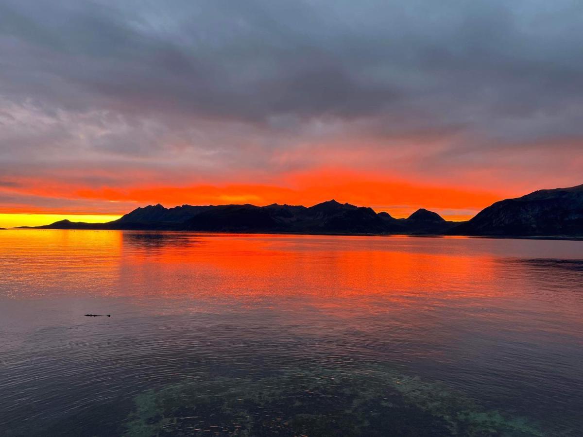 Senja Living Aparthotel Stonglandseidet ภายนอก รูปภาพ