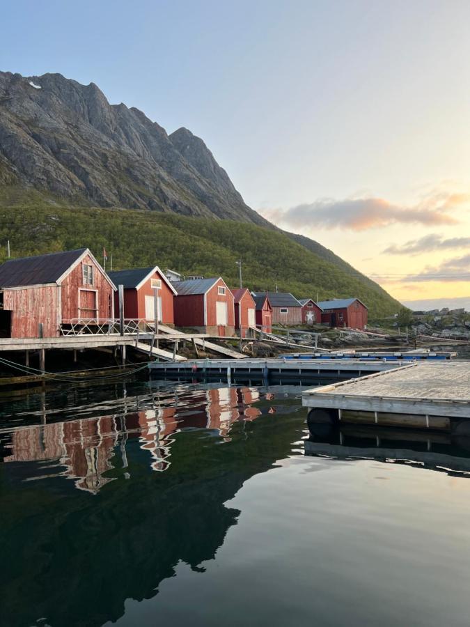 Senja Living Aparthotel Stonglandseidet ภายนอก รูปภาพ