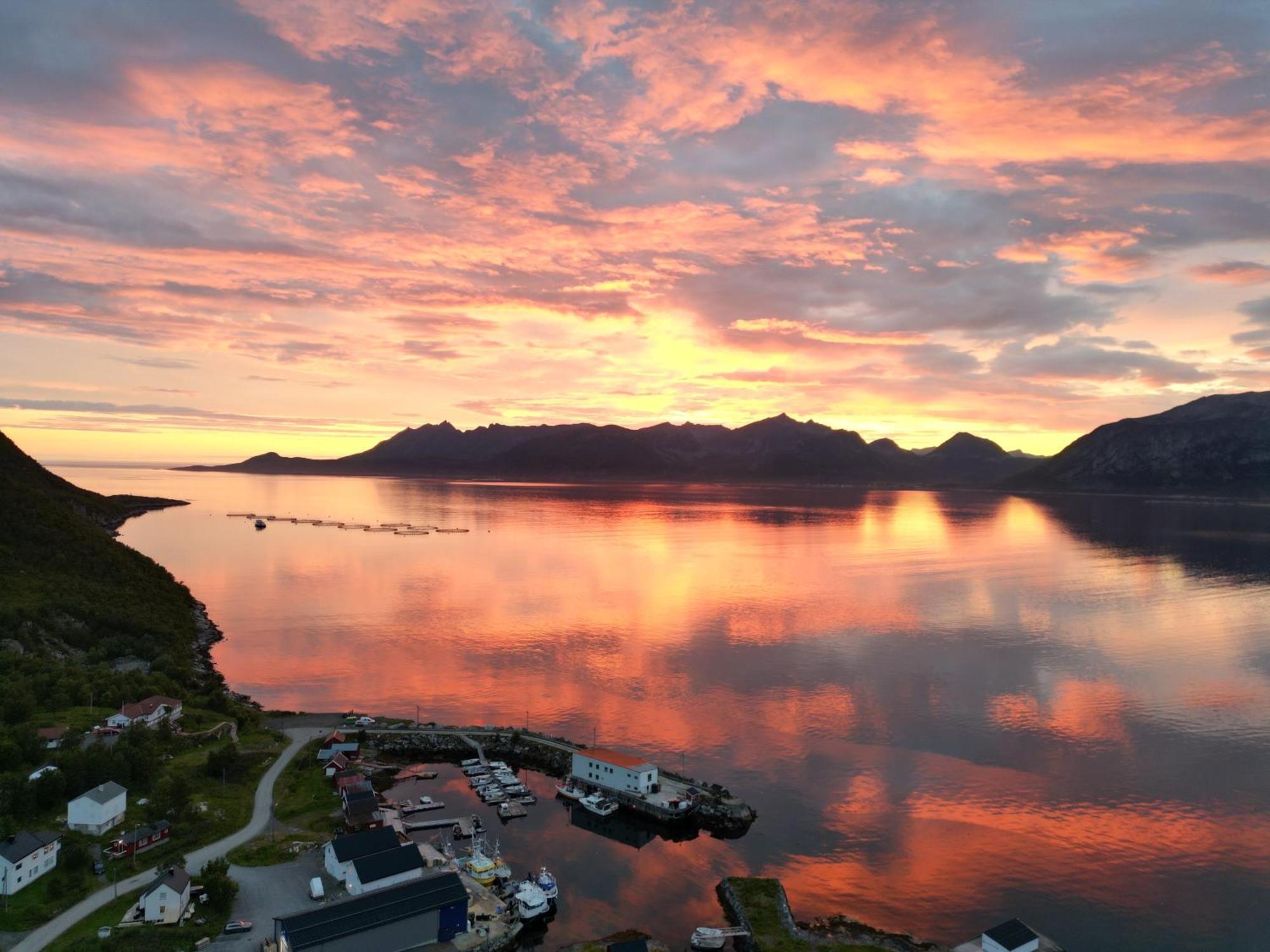 Senja Living Aparthotel Stonglandseidet ภายนอก รูปภาพ